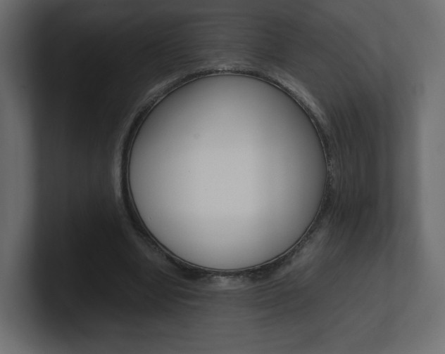 X0000101190442200806270850