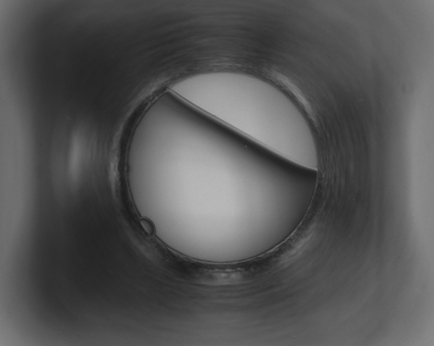 X0000101190443200806270850
