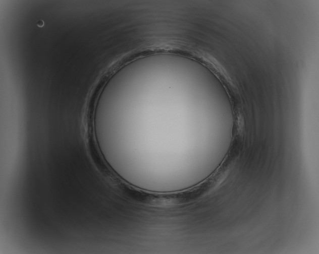 X0000101190444200806270850