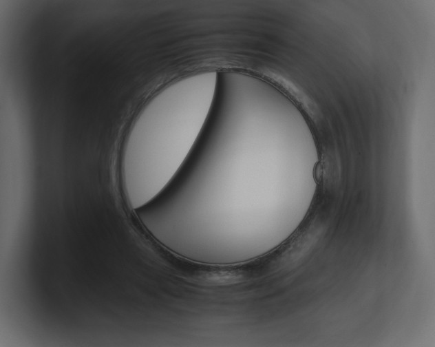 X0000101190445200806270850