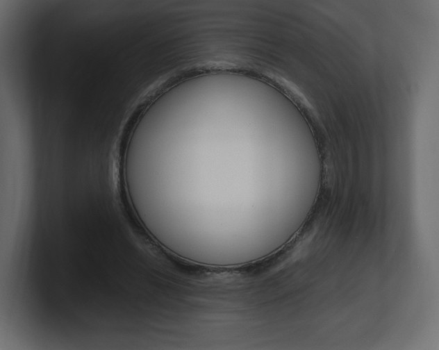 X0000101190446200806270850