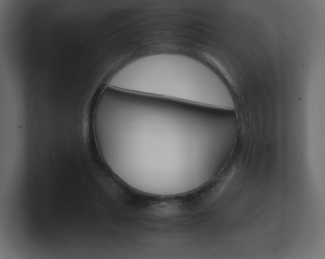 X0000101190447200806270850
