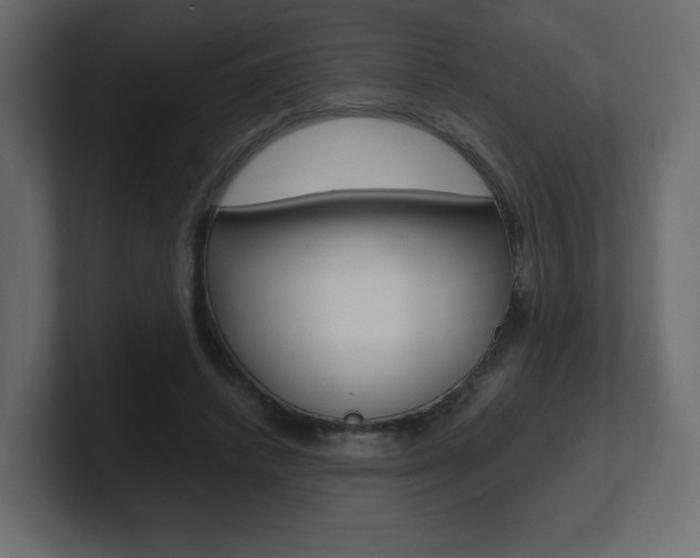 X0000101190448200806270850