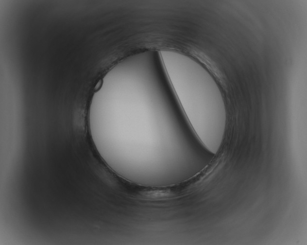 X0000101190449200806270850