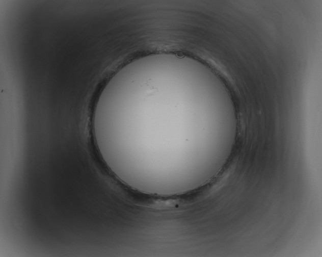 X0000101190450200806270850