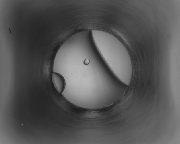 X0000101190451200806270850