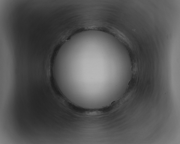 X0000101190452200806270850