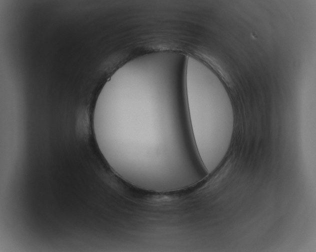 X0000101190453200806270850