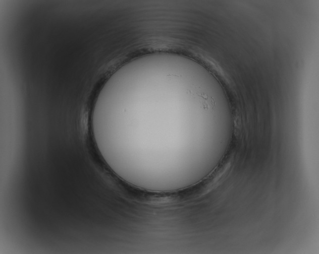 X0000101190454200806270850