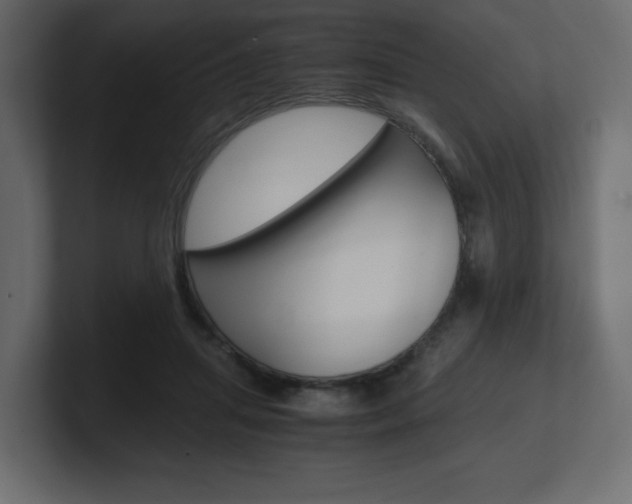 X0000101190455200806270850