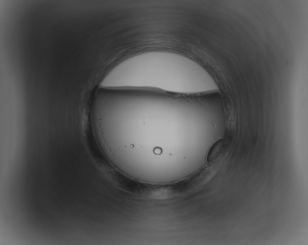 X0000101190456200806270850