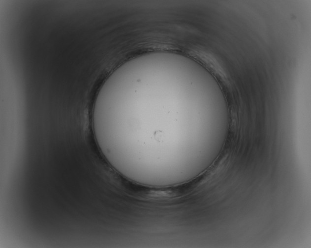 X0000101190457200806270850