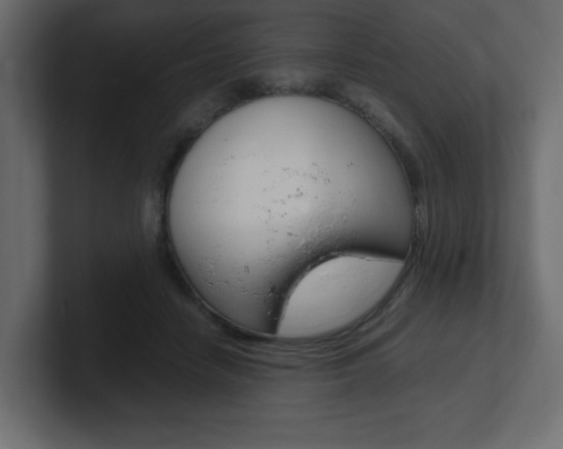 X0000101190458200806270850