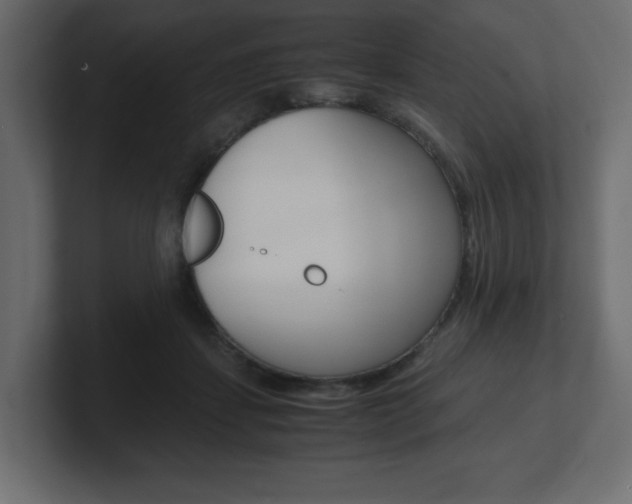 X0000101190459200806270850