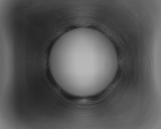 X0000101190460200806270850