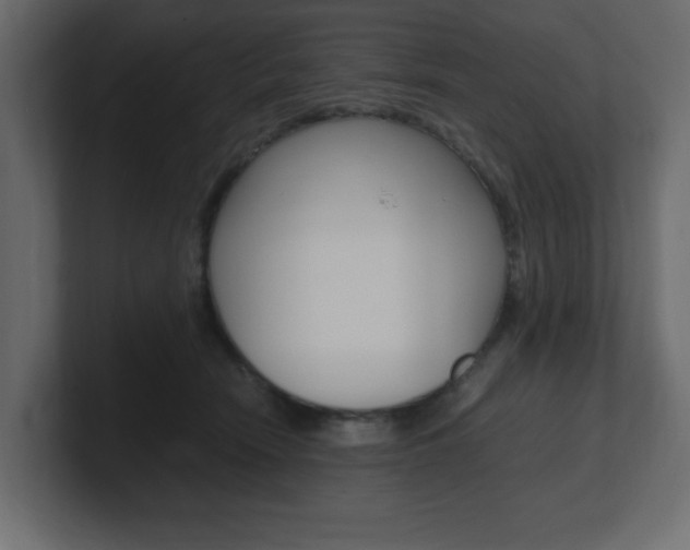 X0000101190466200806270851
