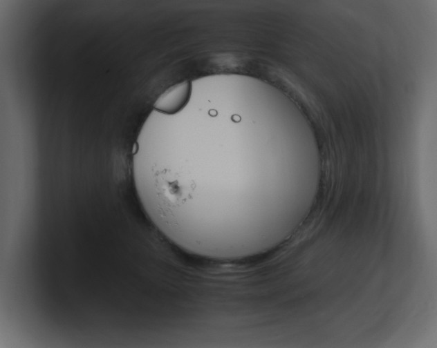 X0000101190467200806270851