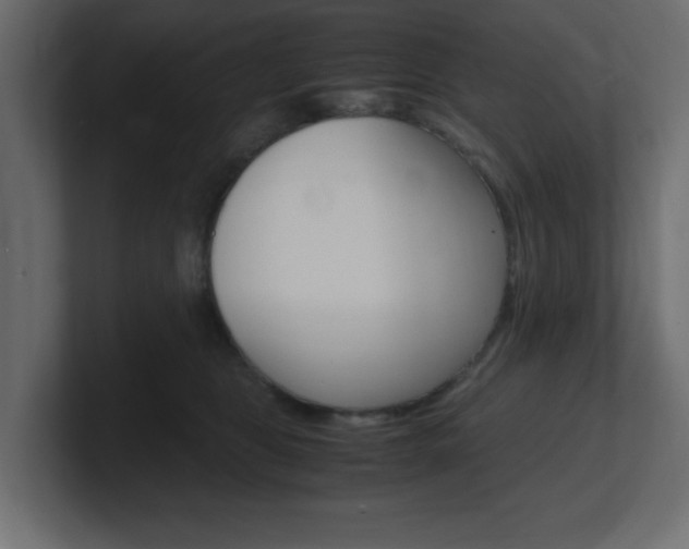 X0000101190469200806270851