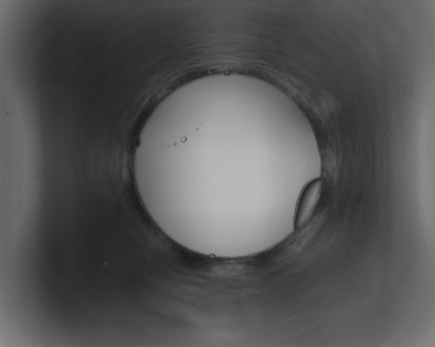 X0000101190470200806270851