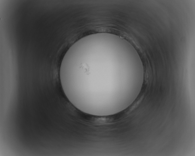 X0000101190473200806270851