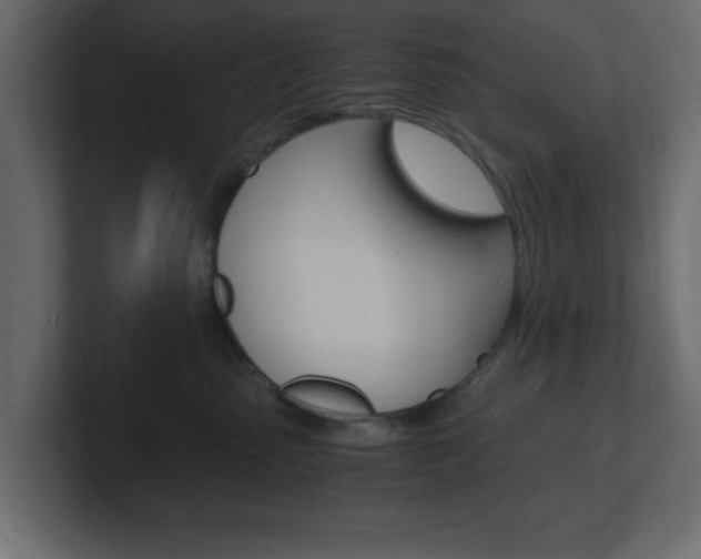 X0000101190475200806270851