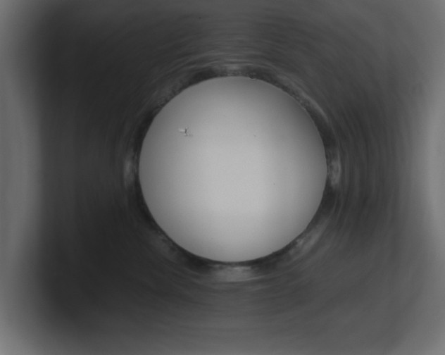 X0000101190476200806270851