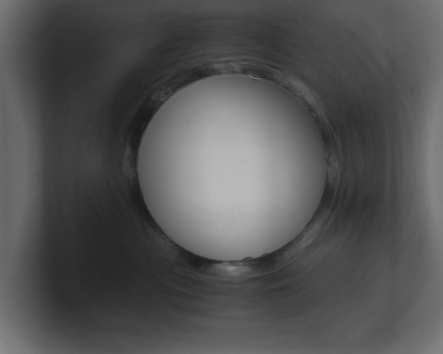 X0000101190477200806270851
