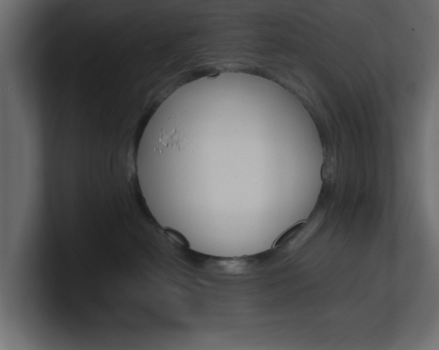 X0000101190478200806270851