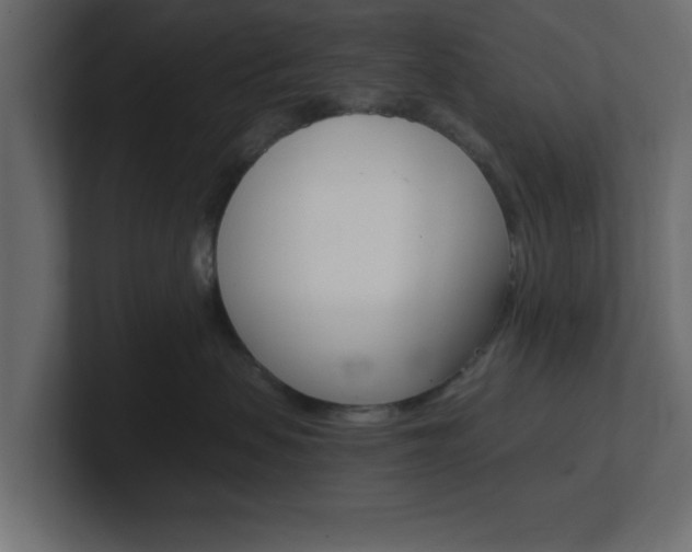 X0000101190479200806270851
