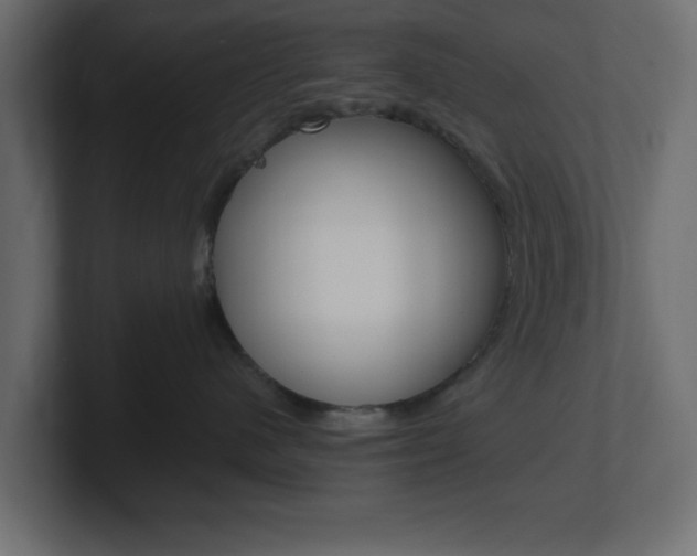 X0000101190480200806270851