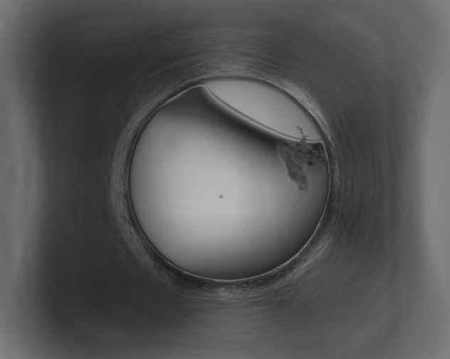 X0000101190481200806270850