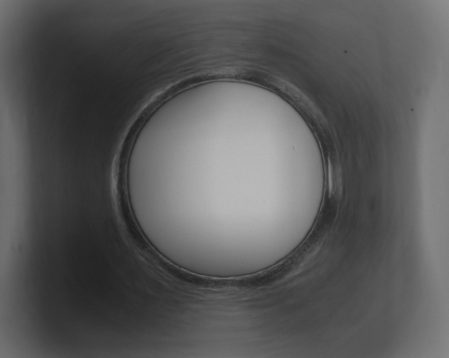 X0000101190483200806270850