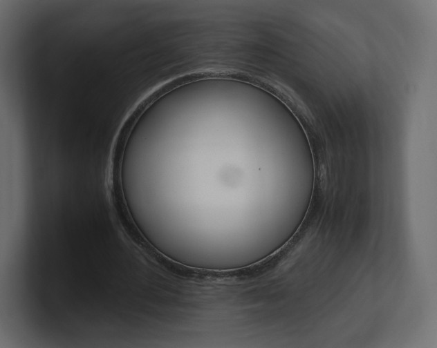 X0000101190484200806270850