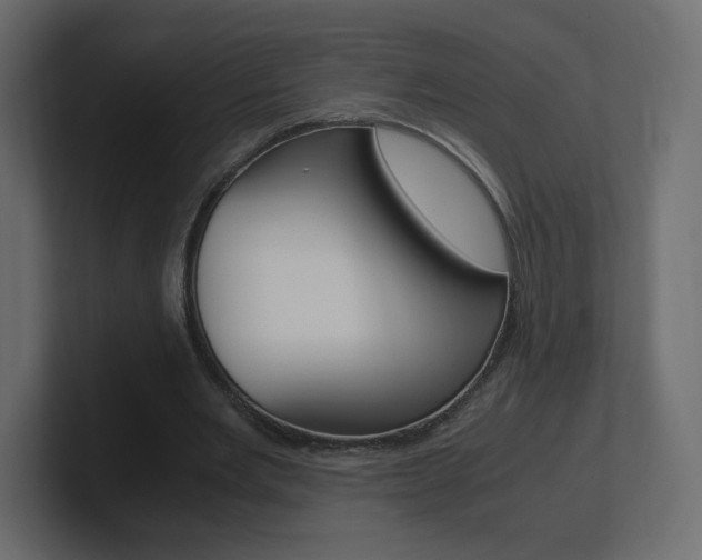 X0000101190485200806270850