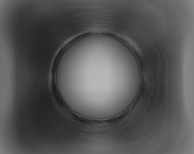 X0000101190488200806270850
