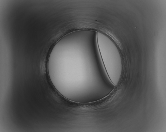 X0000101190489200806270850