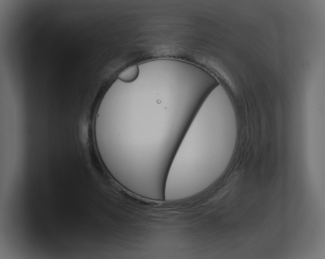 X0000101190491200806270850