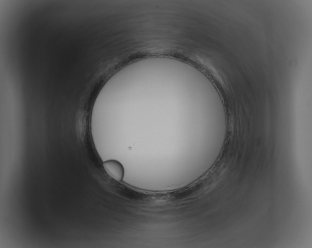 X0000101190495200806270850