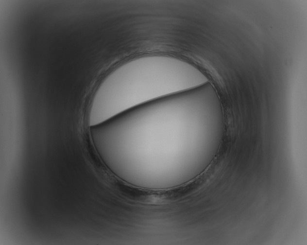 X0000101190496200806270850