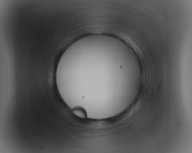 X0000101190497200806270850