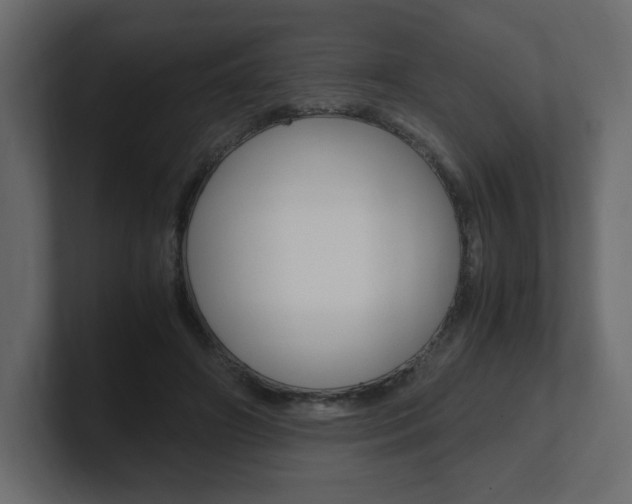 X0000101190498200806270850