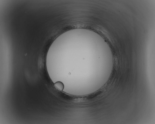 X0000101190499200806270850
