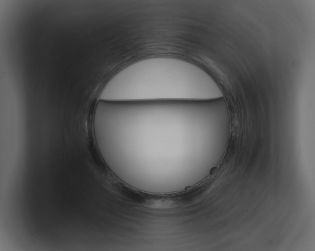 X0000101190500200806270850