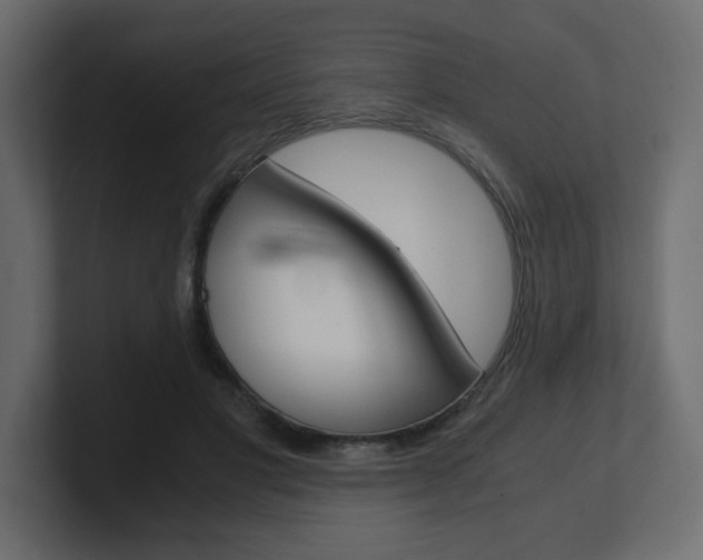 X0000101190501200806270850