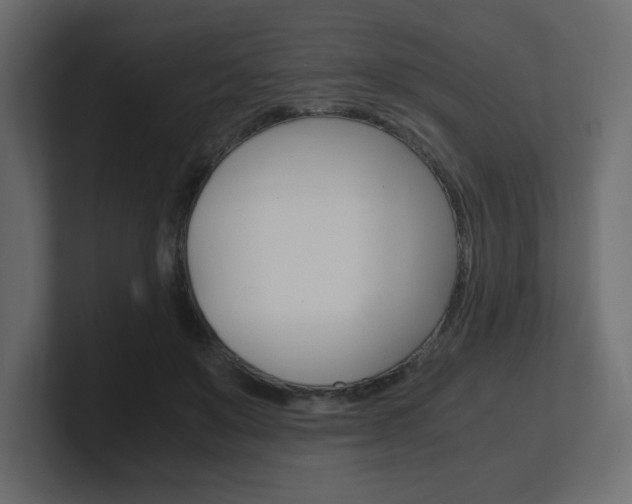 X0000101190503200806270850
