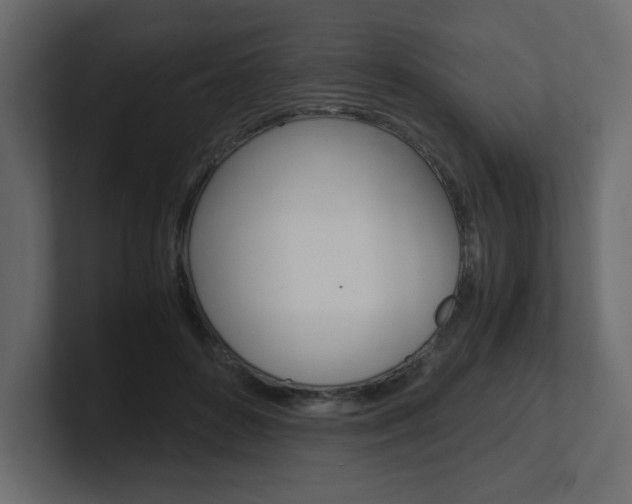 X0000101190504200806270850