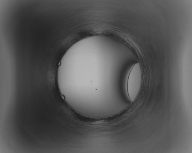 X0000101190505200806270850