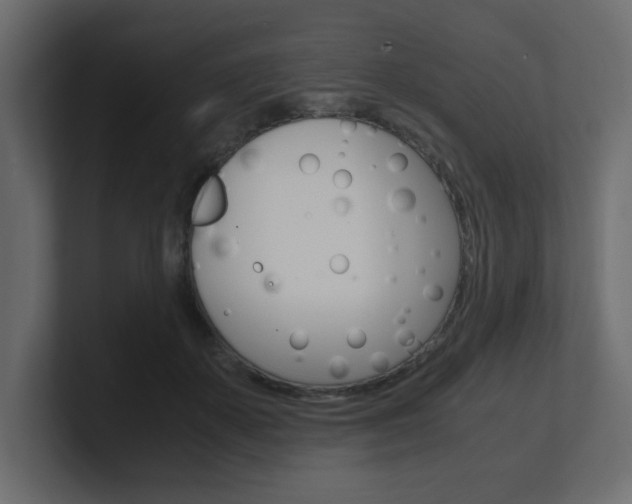 X0000101190507200806270850
