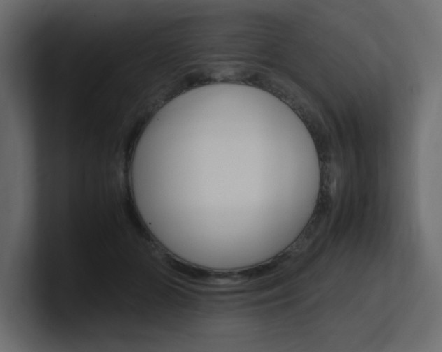 X0000101190510200806270850