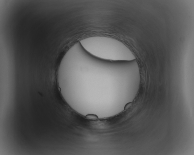 X0000101190511200806270850